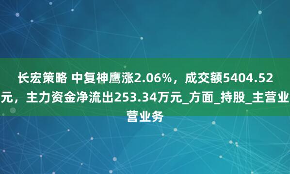 长宏策略 中复神鹰涨2.06%，成交额5404.52万元，主力资金净流出253.34万元_方面_持股_主营业务