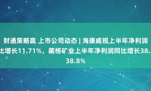 财通策略赢 上市公司动态 | 海康威视上半年净利润同比增长11.71%，藏格矿业上半年净利润同比增长38.8%